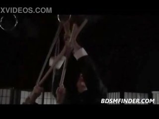 Bị ràng buộc shibari suspended và spanked