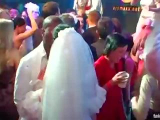 Outstanding lascivo brides chupar grande gallos en público